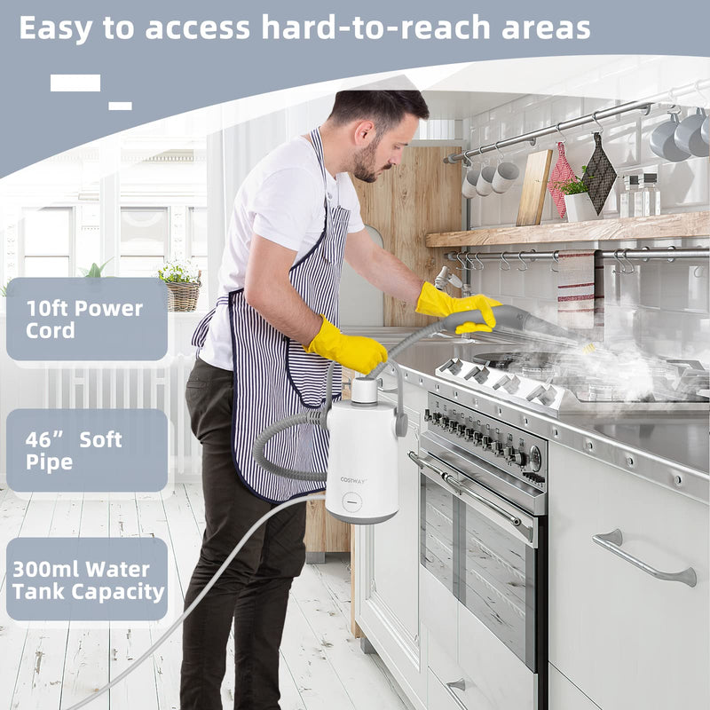 Handheld Multipurpose Steam Cleaner for Garment Windows Tires 10 Piece Accessory Set