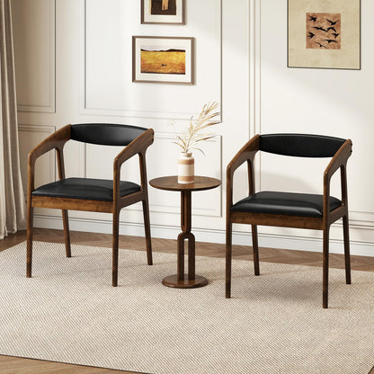 Dining Chairs with Arms Set of 2/4 for Living Dining Reading Room