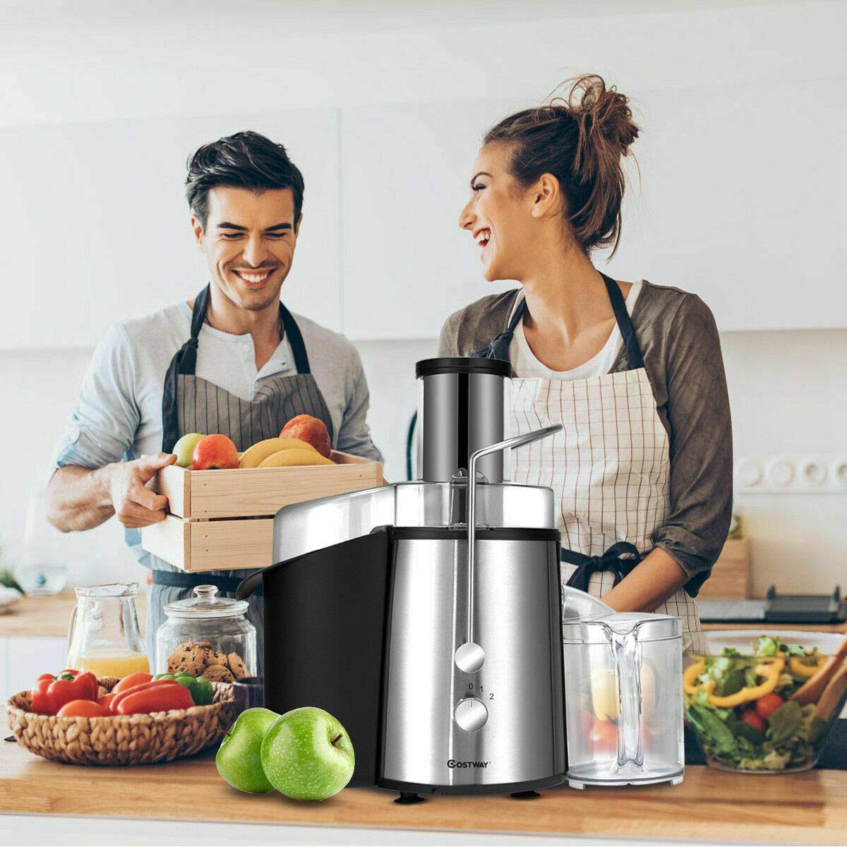 Juice Extractor, 75MM Wide Mouth Stainless Steel Juicer Machines, 2-Speed Setting High Speed Masticating Juicer Machine