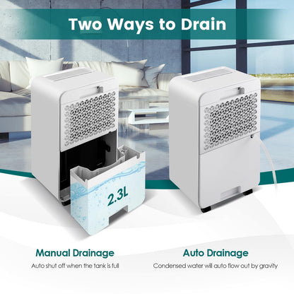 Dehumidifier for Basement, 32 Pints Dehumidifier with Sleep Mode, 24H Timer, 3-Color LED Indicator Light