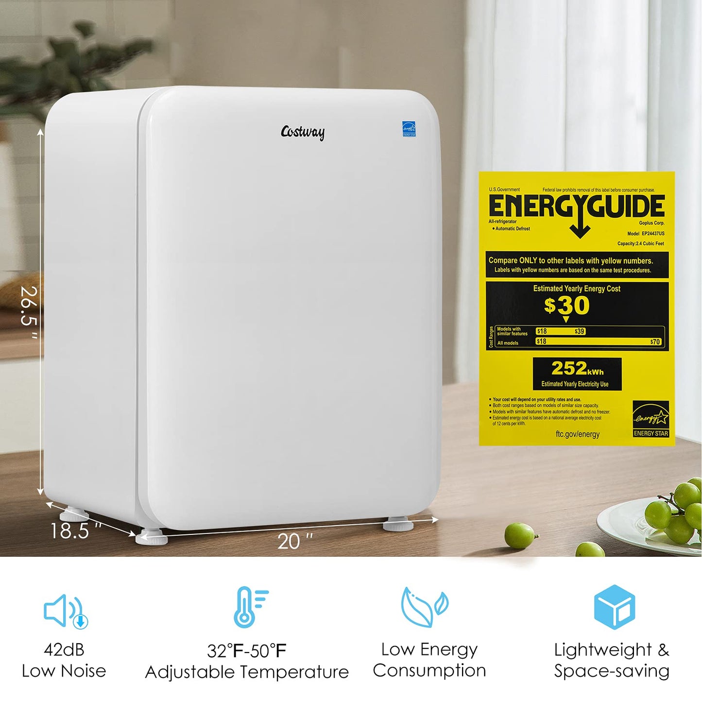 2.4 cu ft. Single Door Small Fridge with Auto Defrost Mini Fridge for Bedroom