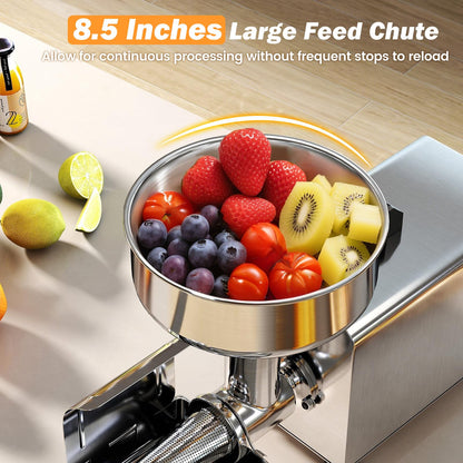 450W Electric Tomato Strainer for Strawberry & Blueberry Jam