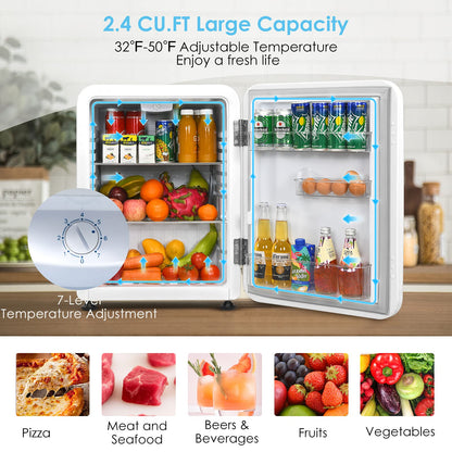 2.4 cu ft. Single Door Small Fridge with Auto Defrost Mini Fridge for Bedroom