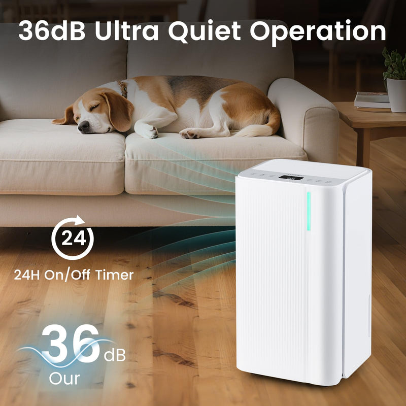2000 Sq.Ft Portable Dehumidifier for Bedroom
