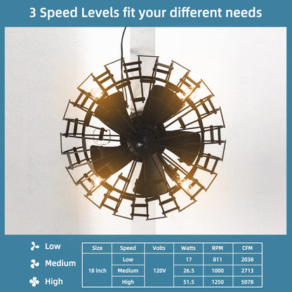 Caged Ceiling Fan with Light, Enclosed Ceiling Fan with 5 Blades, 3 Wind Speed (Black)