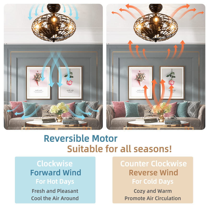 Caged Ceiling Fan with Light, Enclosed Ceiling Fan with 5 Blades, 3 Wind Speed (Black)