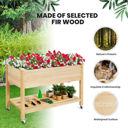 Raised Garden Bed with Wheels & Storage Shelf ( 47.5”L x 23.5”W x 33”H )