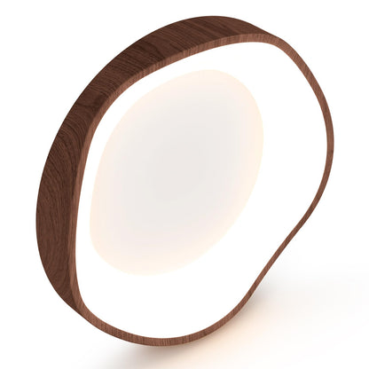 ARLIME Round LED Flush Mount Ceiling Light
