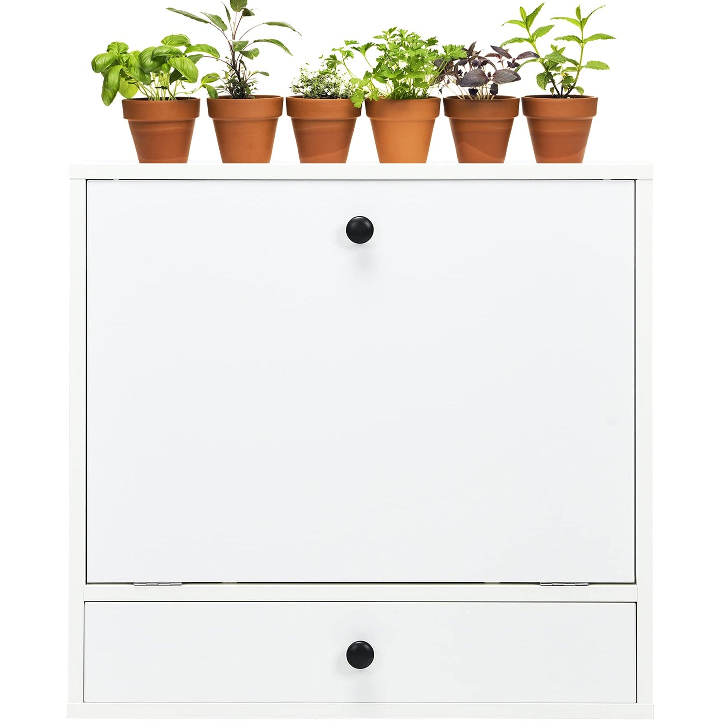 Wall-Mounted Computer Desk Floating Desk with Storage Drawer & Shelves