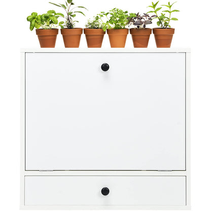 Wall-Mounted Computer Desk Floating Desk with Storage Drawer & Shelves