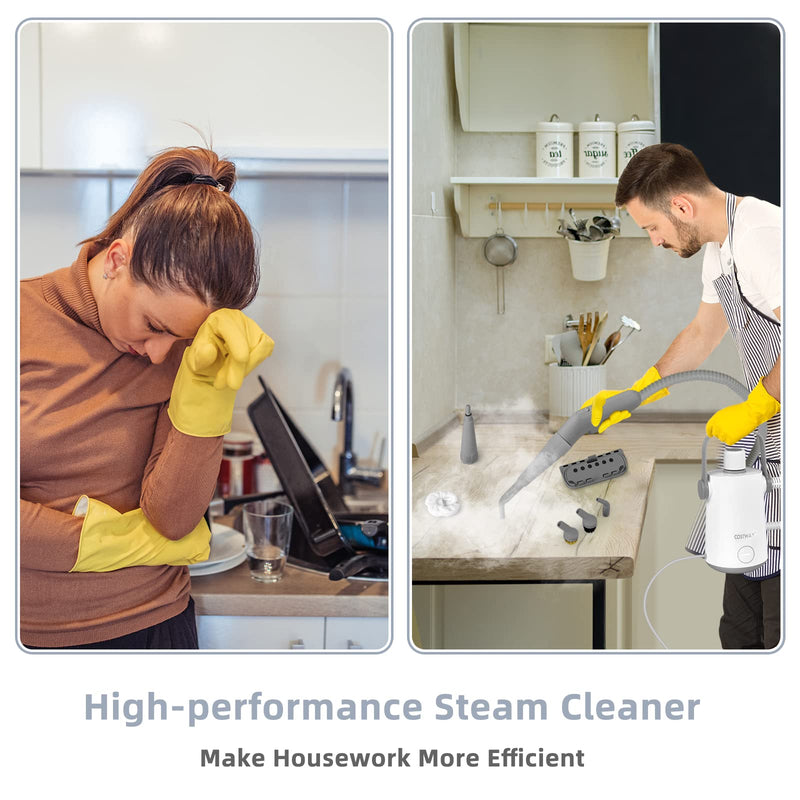 Handheld Multipurpose Steam Cleaner for Garment Windows Tires 10 Piece Accessory Set